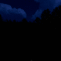 Bright Nights